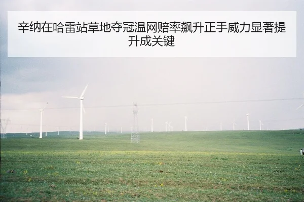 辛纳在哈雷站草地夺冠温网赔率飙升正手威力显著提升成关键